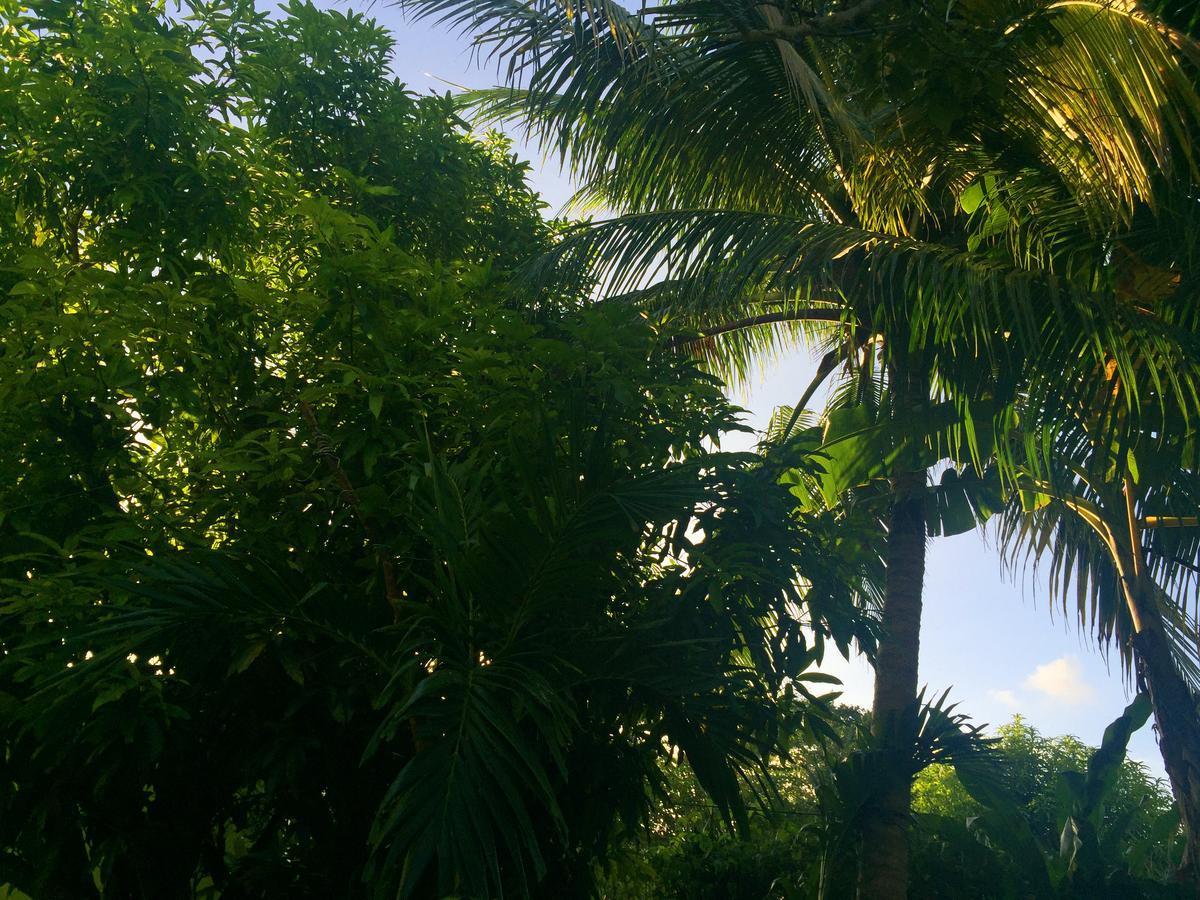 Yaad Hostel Montego Bay Eksteriør bilde